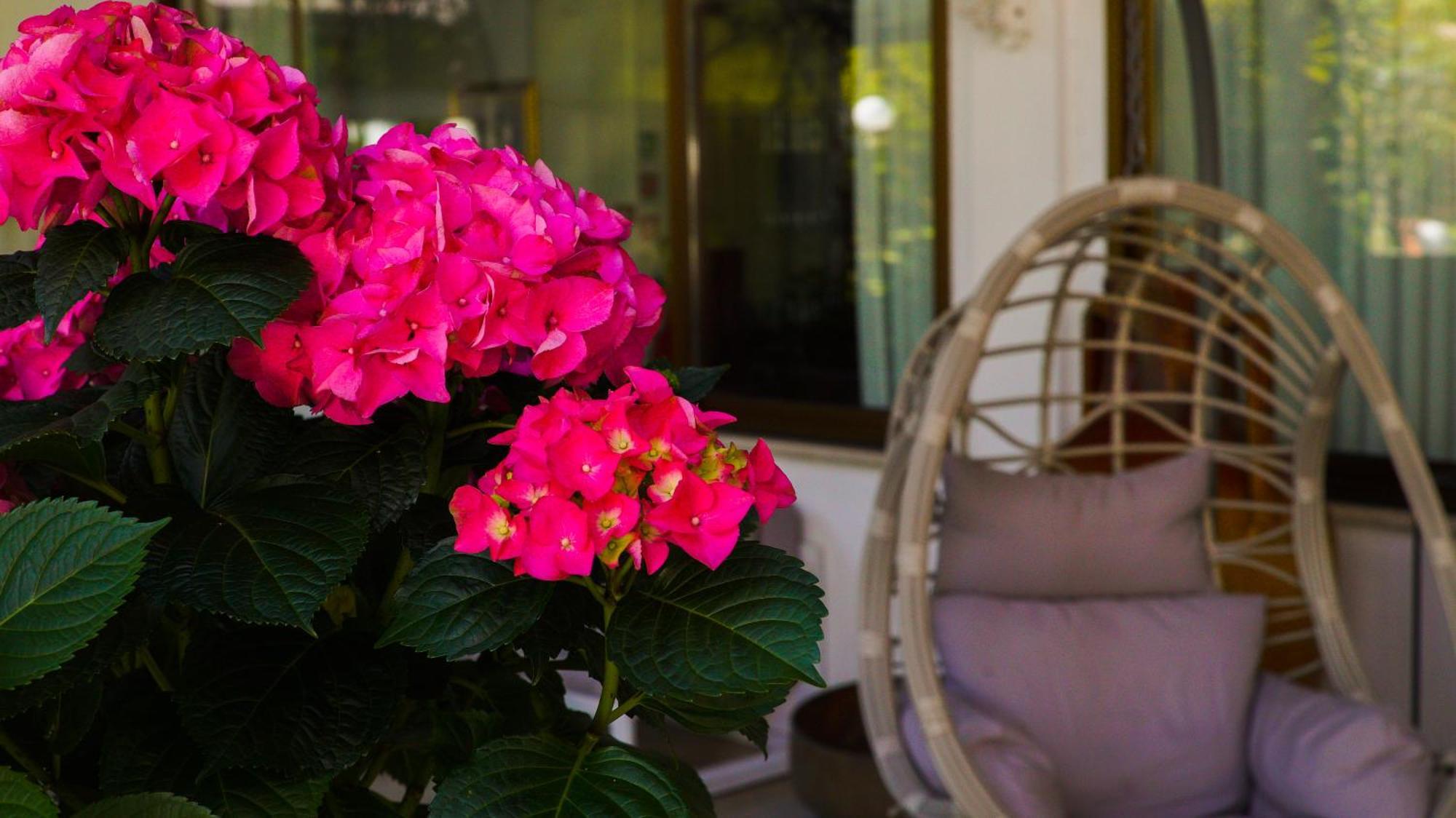 Bellavista Terme Resort & Spa Монтегрото Терме Екстериор снимка